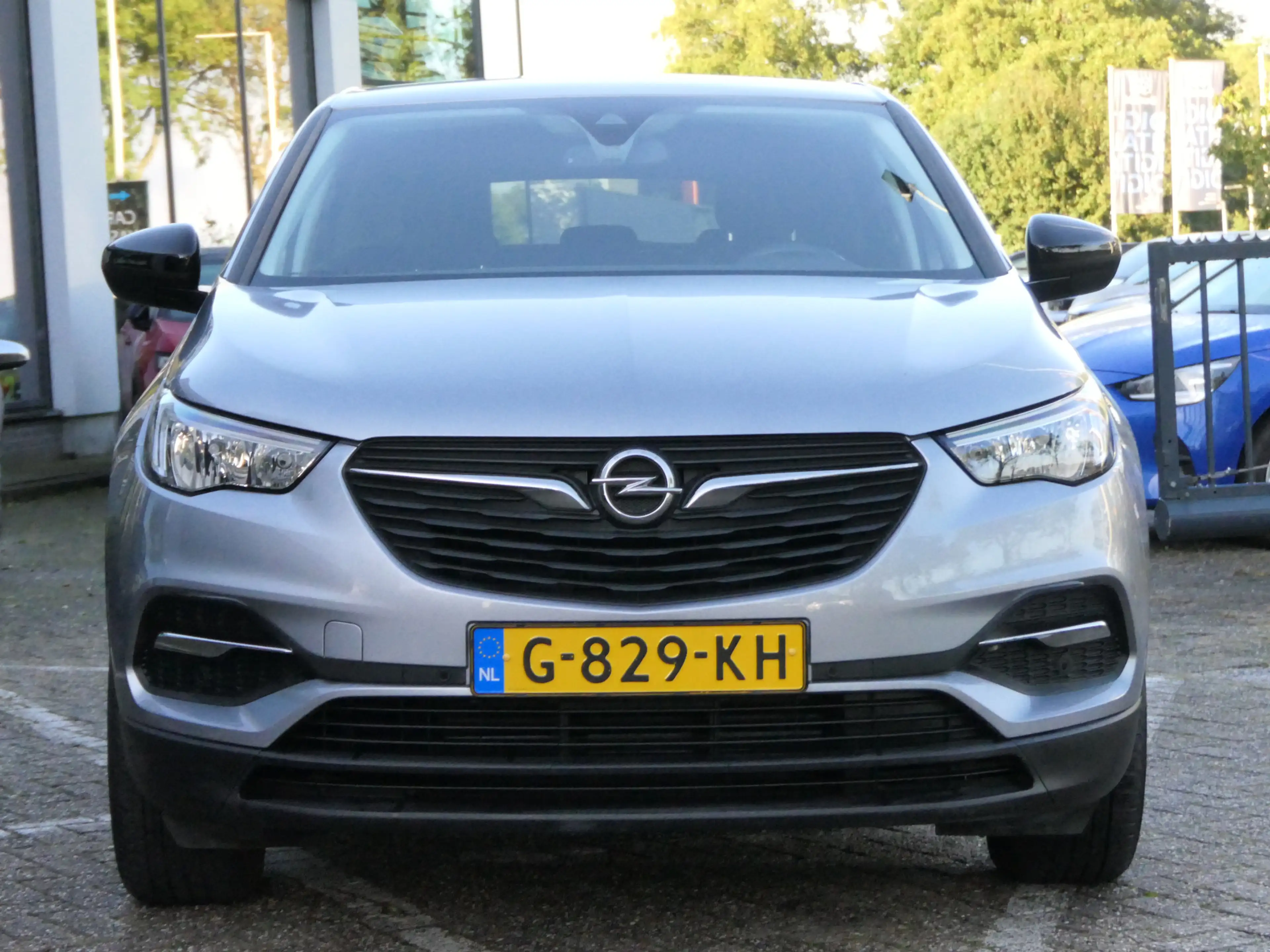 Opel Grandland X 1.2 Turbo 120 Jaar Edition | Trekhaak — photo 10