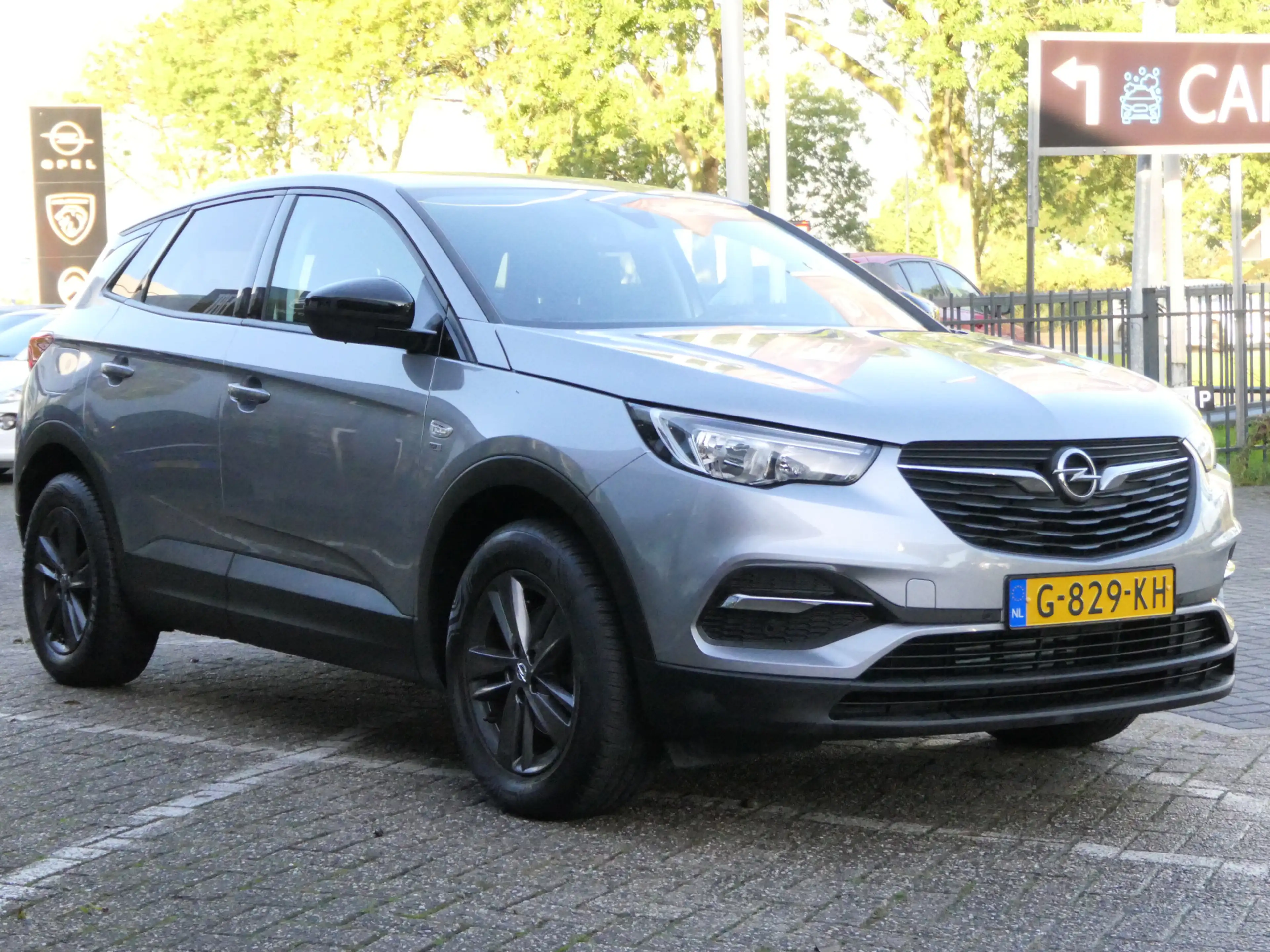 Opel Grandland X 1.2 Turbo 120 Jaar Edition | Trekhaak — photo 8