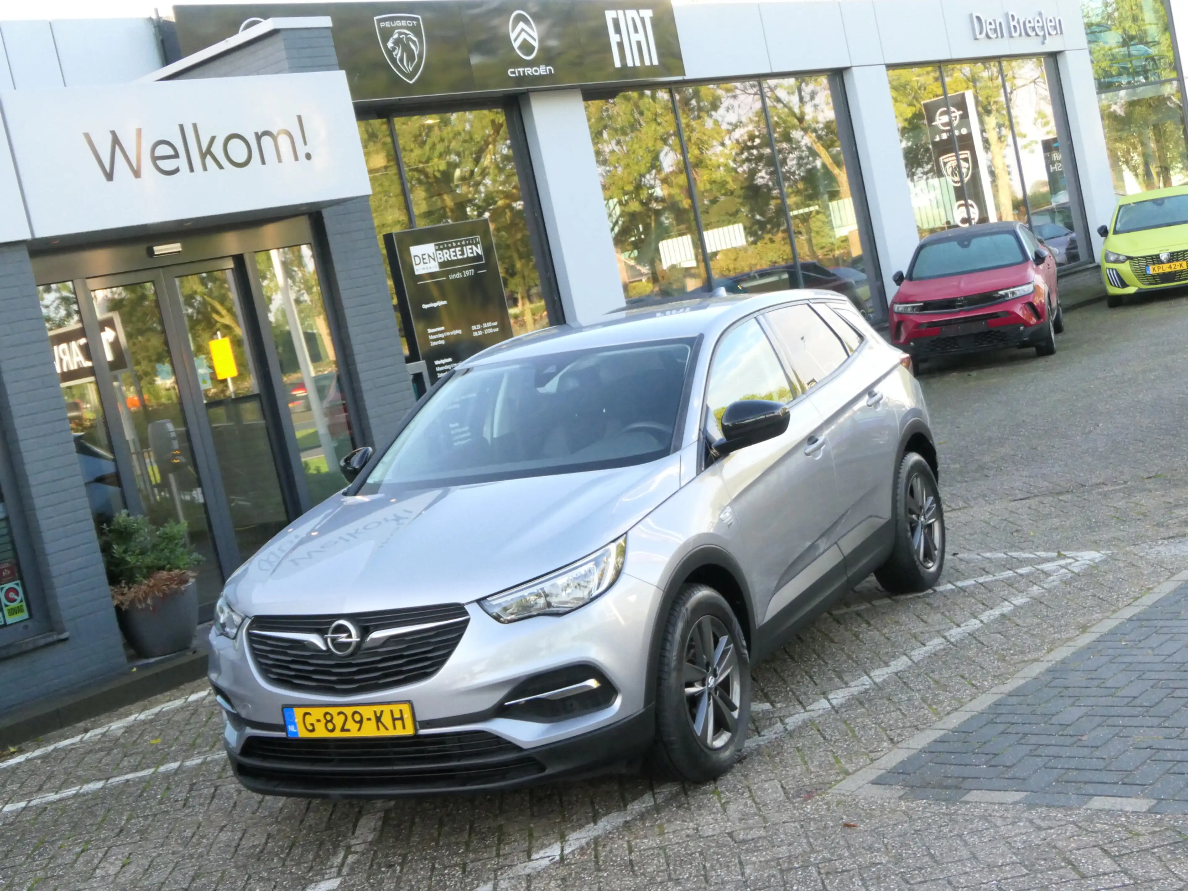 Opel Grandland X 1.2 Turbo 120 Jaar Edition | Trekhaak — photo 14