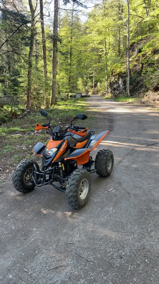 Shineray XY 250 quad 250ccm topzustand (neue tüv) - 1