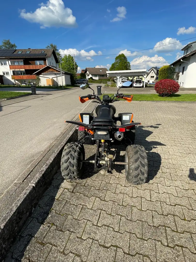 Shineray XY 250 quad 250ccm topzustand (neue tüv) - 2