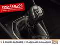 Ford Fiesta 5p 1.0 ecoboost h titanium 125cv Blu/Azzurro - thumbnail 26
