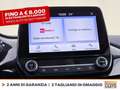Ford Fiesta 5p 1.0 ecoboost h titanium 125cv Blu/Azzurro - thumbnail 23