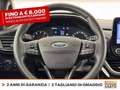 Ford Fiesta 5p 1.0 ecoboost h titanium 125cv Blu/Azzurro - thumbnail 18