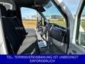 Mercedes-Benz Sprinter Maxi Koffer 316 CDI TÜV neu 11980netto Weiß - thumbnail 3