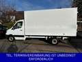 Mercedes-Benz Sprinter Maxi Koffer 316 CDI TÜV neu 11980netto Weiß - thumbnail 1