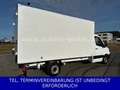 Mercedes-Benz Sprinter Maxi Koffer 316 CDI TÜV neu 11980netto Weiß - thumbnail 5