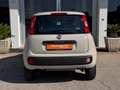 Fiat Panda Panda 0.9 TwinAir Turbo Natural Power Easy, 5 Post Beige - thumbnail 4