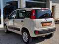 Fiat Panda Panda 0.9 TwinAir Turbo Natural Power Easy, 5 Post Beige - thumbnail 5
