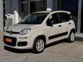 Fiat Panda Panda 0.9 TwinAir Turbo Natural Power Easy, 5 Post Beige - thumbnail 3