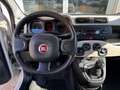 Fiat Panda Panda 0.9 TwinAir Turbo Natural Power Easy, 5 Post Beige - thumbnail 9