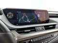 Lexus ES 300 300h President Line Limited | Mark Levinson | Stoe Noir - thumbnail 10