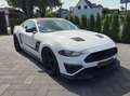 Ford Mustang ROUSH JackHammer der 30. Alb - thumbnail 1