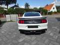Ford Mustang ROUSH JackHammer der 30. Alb - thumbnail 6