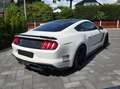 Ford Mustang ROUSH JackHammer der 30. Alb - thumbnail 7