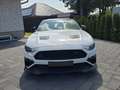 Ford Mustang ROUSH JackHammer der 30. Alb - thumbnail 2