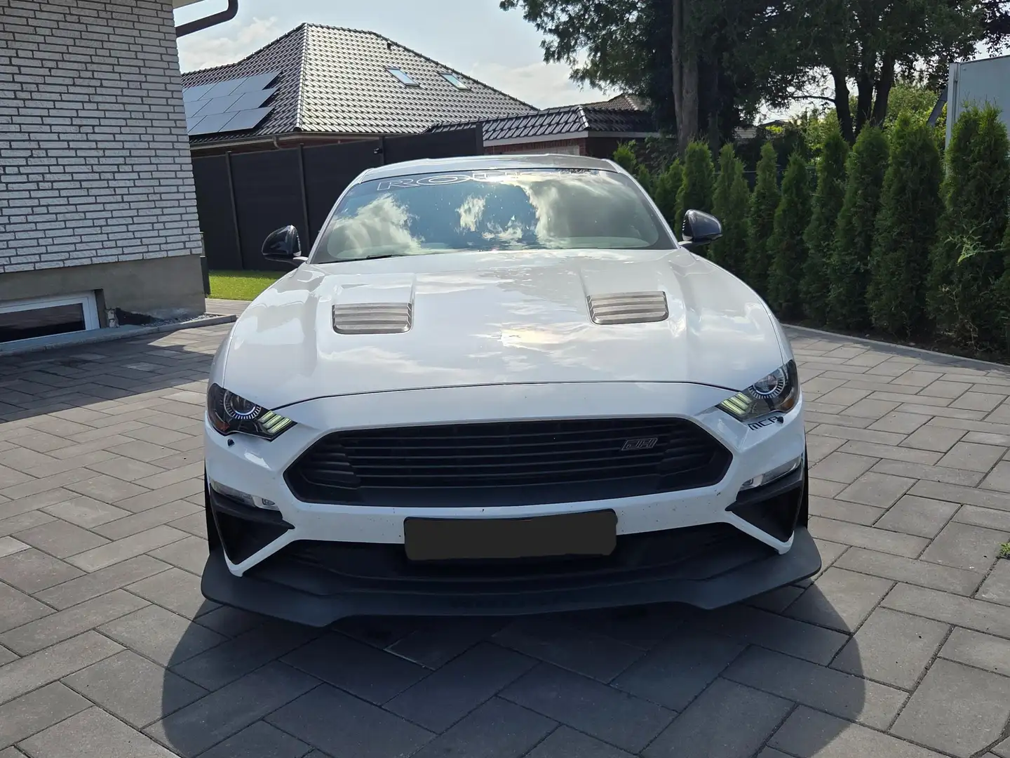 Ford Mustang ROUSH JackHammer der 30. Alb - 2