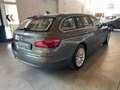 BMW 520 Serie 5 F11 Touring 520d Touring Luxury 190cv Grigio - thumbnail 5