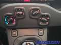 Fiat Panda 1.0 70PS Klima DAB Spurhalteass. Verkehrszeichener Weiß - thumbnail 22