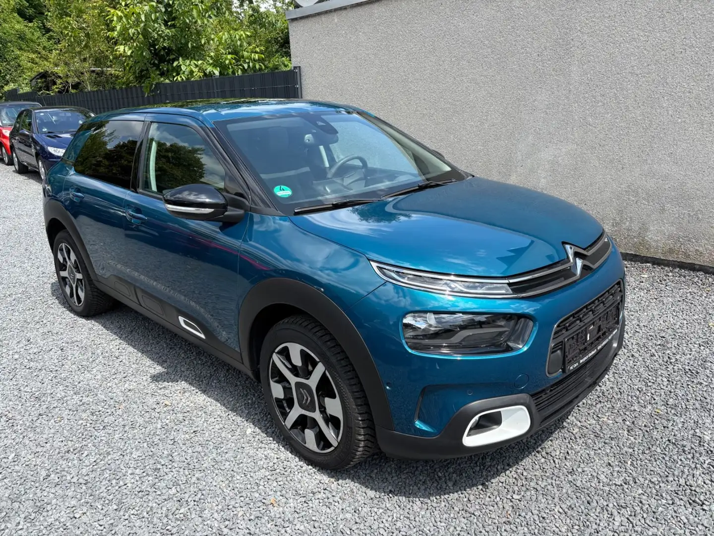 Citroen C4 Cactus Shine/Navi,Klima,R.Kamera,Panoramadach Blau - 1