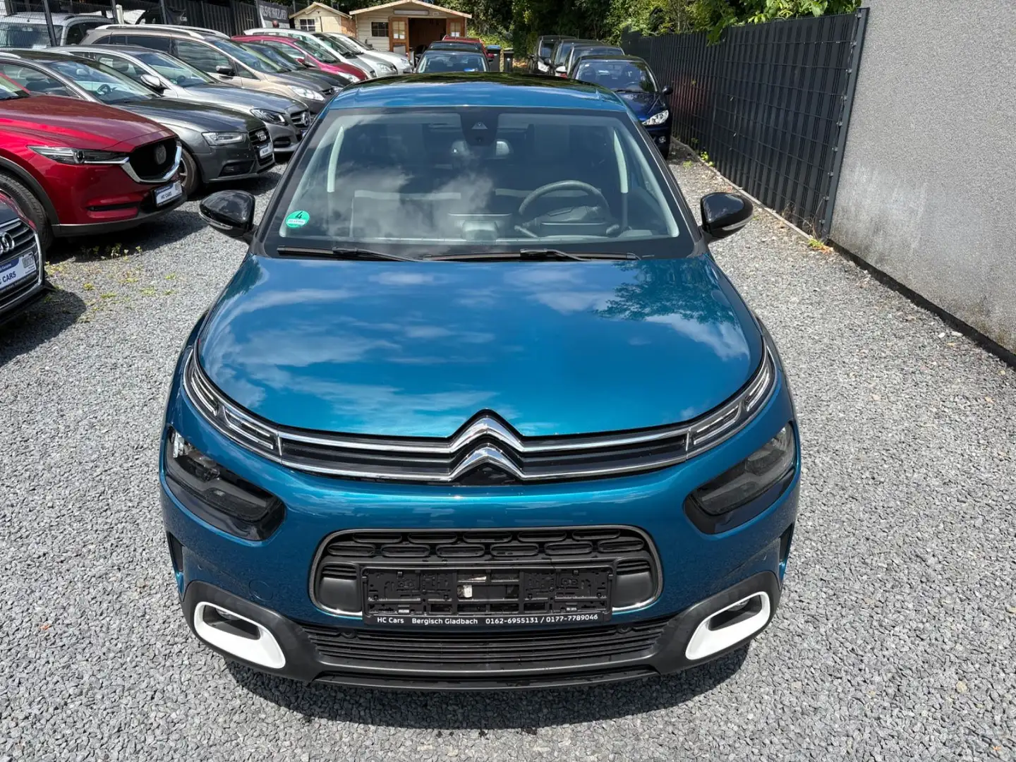 Citroen C4 Cactus Shine/Navi,Klima,R.Kamera,Panoramadach Blau - 2