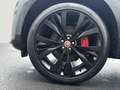 Jaguar F-Pace F-PACE Diesel D300 AWD R-Dynamic SE Head up / Pano Grau - thumbnail 9
