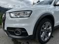 Audi Q3 2,0 TDI quattro Daylight S-tronic - thumbnail 7