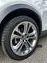 Audi Q3 2,0 TDI quattro Daylight S-tronic - thumbnail 8