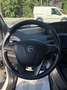 Lancia Ypsilon Ypsilon III 2015 1.0 hybrid Silver  NESSUN VICOLO Bianco - thumbnail 8