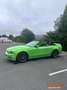 Ford Mustang CABRIOLET 3.7 305 BVA Vert - thumbnail 2