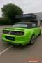 Ford Mustang CABRIOLET 3.7 305 BVA Vert - thumbnail 3