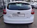 Ford Focus 1.0 EcoBoost Start-Stopp-System Ambiente Weiß - thumbnail 10