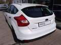 Ford Focus 1.0 EcoBoost Start-Stopp-System Ambiente Wit - thumbnail 3