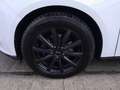 Ford Focus 1.0 EcoBoost Start-Stopp-System Ambiente Wit - thumbnail 8