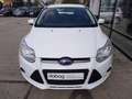 Ford Focus 1.0 EcoBoost Start-Stopp-System Ambiente Bianco - thumbnail 13