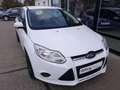 Ford Focus 1.0 EcoBoost Start-Stopp-System Ambiente Wit - thumbnail 12
