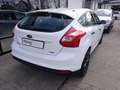 Ford Focus 1.0 EcoBoost Start-Stopp-System Ambiente Wit - thumbnail 9