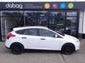Ford Focus 1.0 EcoBoost Start-Stopp-System Ambiente Blanc - thumbnail 11