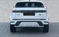Land Rover Range Rover Evoque 2.0D I4 163CV AWD Auto R-Dynamic SE Bianco - thumbnail 5