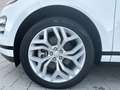 Land Rover Range Rover Evoque 2.0D I4 163CV AWD Auto R-Dynamic SE Bianco - thumbnail 9
