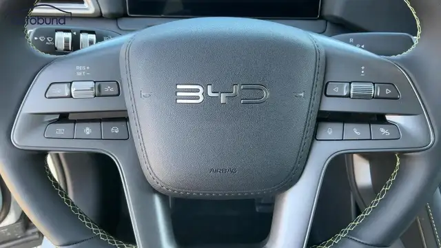 Byd Atto 2 view 10
