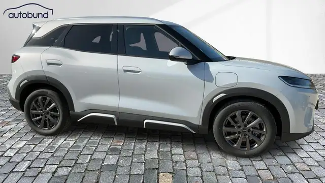 Byd Atto 2 view 4