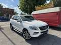 Mercedes-Benz ML 250 bt Sport 4matic auto - thumbnail 1