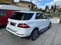 Mercedes-Benz ML 250 bt Sport 4matic auto - thumbnail 7