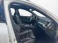 Volvo XC60 T8 Plug-in Hybrid AWD Plus Black Edition Weiß - thumbnail 10