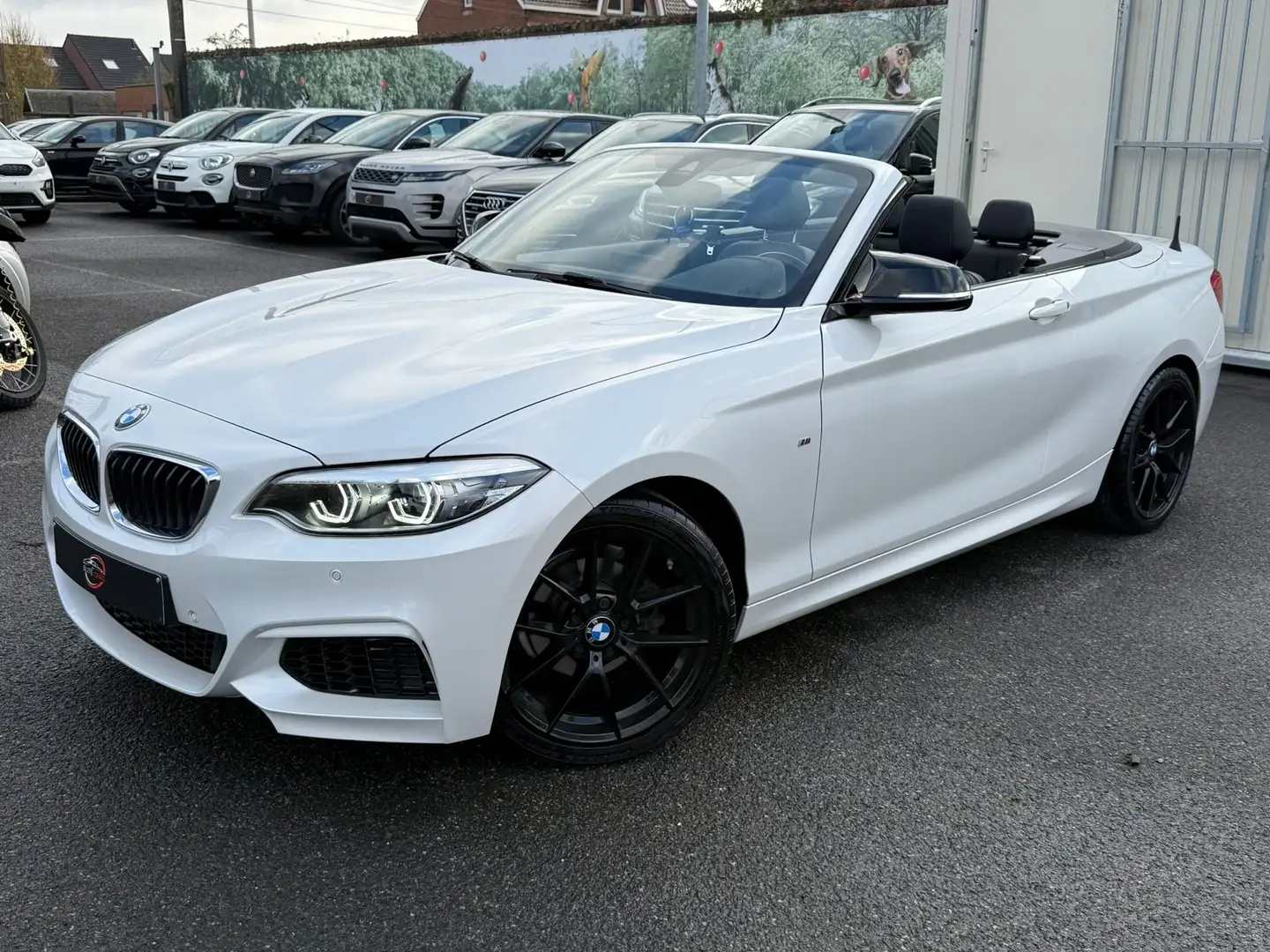 BMW 218 Cabrio 218iA / AUTO / PACK M / CUIR / FULL BOOK Blanc - 1