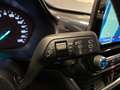Ford Fiesta 5p 1.0 ecoboost ST-Line s&s 100cv ST Line - PROMO Чорний - thumbnail 16