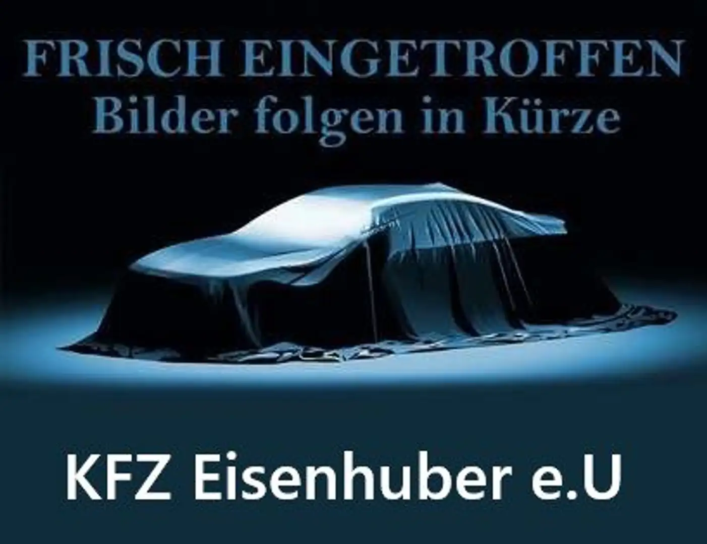 Hyundai H 350 Kasten L2H2 Profi Weiß - 1