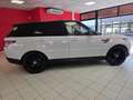 Land Rover Range Rover Sport II 2014 3.0 tdV6 HSE Dynamic auto my16 E6 White - thumbnail 4