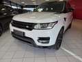 Land Rover Range Rover Sport II 2014 3.0 tdV6 HSE Dynamic auto my16 E6 White - thumbnail 1